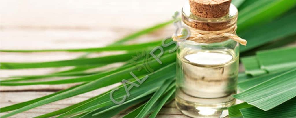 Lemongrass Oil Near Me